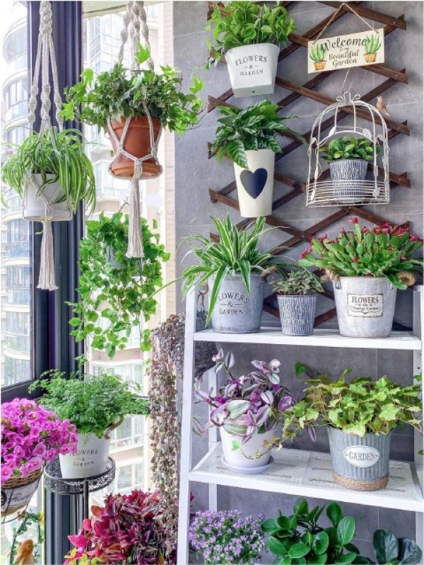 trang-tri-cay-canh-ban-cong-1